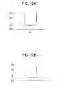 Fig. 13 - Image forming apparatus