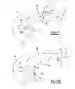Fig. 07 - Injection molded seals for compressors