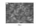 Fig. 03 - Nanowire preparation methods, compositions, and articles