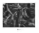 Fig. 09 - Nanowire preparation methods, compositions, and articles