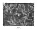 Fig. 12 - Nanowire preparation methods, compositions, and articles