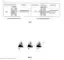Fig. 02 - Phospholipid analogs as diapeutic agents and methods thereof