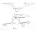 Fig. 18 - Phospholipid analogs as diapeutic agents and methods thereof