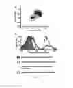 Fig. 09 - Heteromultivalent nanoparticle compositions