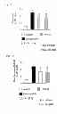 Fig. 02 - AMELIORATING AGENT FOR CHRONIC OBSTRUCTIVE PULMONARY DISEASE