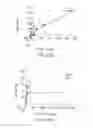 Fig. 43 - Antibody to GDF8 and uses thereof