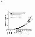 Fig. 07 - Antibodies specific for TGF-β  and methods of treatment thereof