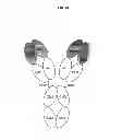 Fig. 02 - Engineered antibody constant domain molecules
