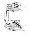 Fig. 06 - Engineered antibody constant domain molecules