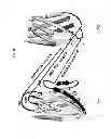 Fig. 07 - Engineered antibody constant domain molecules