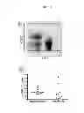 Fig. 02 - Methods of enhancing antibody-based antiviral therapies by administering KIR2DL-binding antibodies