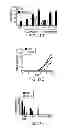 Fig. 40 - Methods of Treating and/or Preventing Cell Proliferation Disorders with IL-17 Antagonists