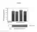 Fig. 09 - IN VITRO METHOD FOR IDENTIFYING COMPOUNDS FOR CANCER THERAPY