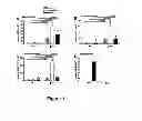 Fig. 02 - REGULATING IL-4 AND IL-3 LEVELS BY BLOCKING HIGH AFFINITY BINDING BY IL-3, IL-5 AND GM-CSF TO THEIR COMMON RECEPTOR