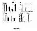 Fig. 09 - REGULATING IL-4 AND IL-3 LEVELS BY BLOCKING HIGH AFFINITY BINDING BY IL-3, IL-5 AND GM-CSF TO THEIR COMMON RECEPTOR