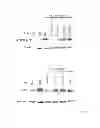Fig. 06 - Non-antagonistic EGFR-binding molecules and immunoconjugates thereof