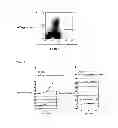 Fig. 07 - Cancer vaccine composition