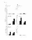Fig. 22 - Cancer vaccine composition
