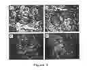 Fig. 06 - ENCAPSULATED OILS