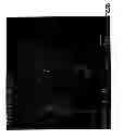 Fig. 08 - Co-processed carbohydrate system as a quick-dissolve matrix for solid dosage forms