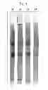 Fig. 02 - Hemostatic compositions