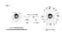 Fig. 01 - POLYMER CONJUGATES TARGETING CELLS AND METHODS RELATED THERETO