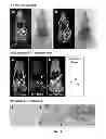 Fig. 07 - POLYMER CONJUGATES TARGETING CELLS AND METHODS RELATED THERETO