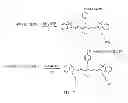Fig. 09 - POLYMER CONJUGATES TARGETING CELLS AND METHODS RELATED THERETO