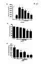 Fig. 02 - METHODS AND COMPOSITIONS FOR TREATING PROLIFERATIVE DISEASES
