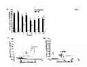 Fig. 06 - METHODS AND COMPOSITIONS FOR TREATING PROLIFERATIVE DISEASES