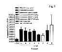 Fig. 07 - METHODS AND COMPOSITIONS FOR TREATING PROLIFERATIVE DISEASES