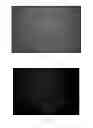Fig. 03 - Neural Scaffold Biomaterial