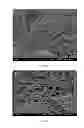 Fig. 06 - Neural Scaffold Biomaterial