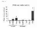 Fig. 03 - PPAR activator