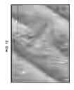 Fig. 09 - Biodegradable And Compostable Component For Cosmetic Packaging