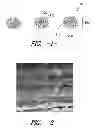 Fig. 02 - PROCESS FOR FORMING AN AGGLOMERATED PARTICLE CLOUD NETWORK COATED FIBER BUNDLE