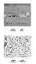 Fig. 16 - PROCESS FOR FORMING AN AGGLOMERATED PARTICLE CLOUD NETWORK COATED FIBER BUNDLE