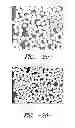 Fig. 18 - PROCESS FOR FORMING AN AGGLOMERATED PARTICLE CLOUD NETWORK COATED FIBER BUNDLE