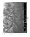 Fig. 02 - Diatomaceous energy storage devices