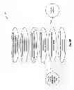 Fig. 06 - Diatomaceous energy storage devices