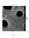 Fig. 08 - Diatomaceous energy storage devices