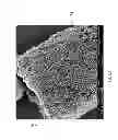 Fig. 15 - Diatomaceous energy storage devices