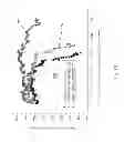 Fig. 20 - Graphene-containing electrodes