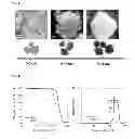 Fig. 04 - Core-shell structured bifunctional catalysts for metal air battery/fuel cell