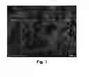 Fig. 02 - Method for manufacturing electrode for fuel cell comprising nanocarbon and core-shell-structured platinum-carbon composite and the electrode for fuel cell manufactured by the same