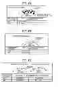 Fig. 02 - Carrier for developing electrostatic latent image, and electrostatic latent image developer