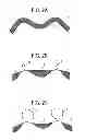 Fig. 03 - Carrier for developing electrostatic latent image, and electrostatic latent image developer