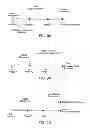 Fig. 11 - Treatment progress tracking and recalibration