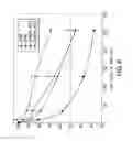 Fig. 07 - Isolation, Cloning and Characterization of New Adeno-Associated Virus (AAV) Serotypes
