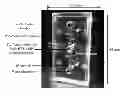 Fig. 01 - Primer set, method and kit for detecting pathogen in animals or plants